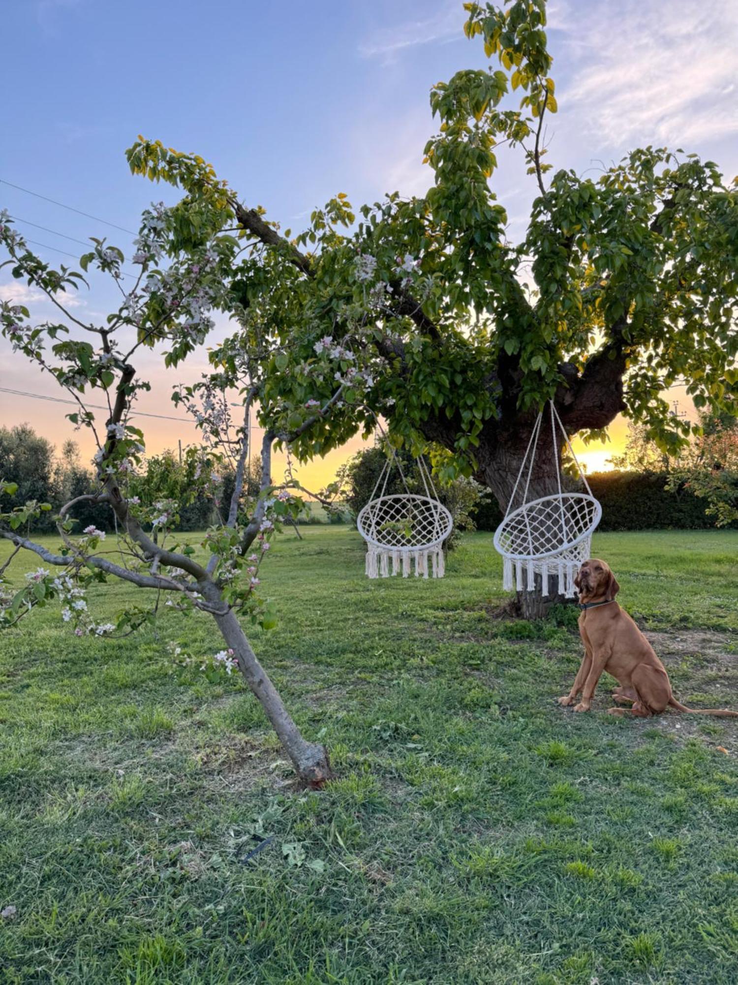 Agriturismo Le Grange Numana Ngoại thất bức ảnh